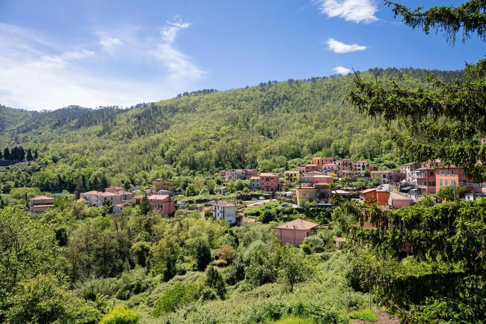 Da Antonio Apartment Biassa Italy